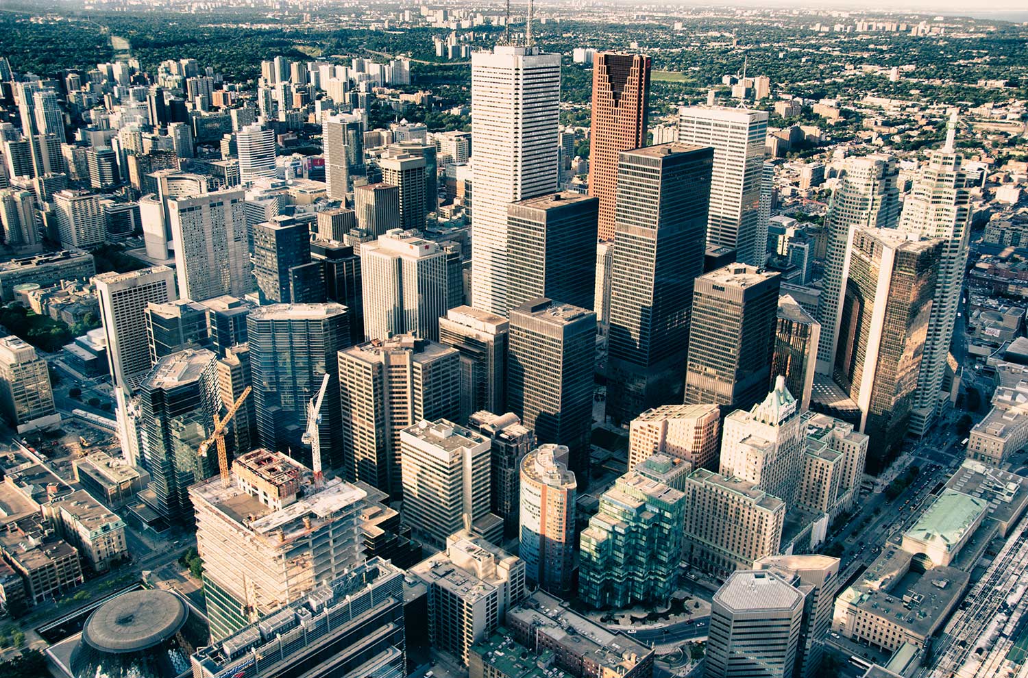 加拿大联邦自雇移民