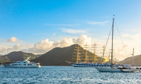 圣卢西亚护照移民