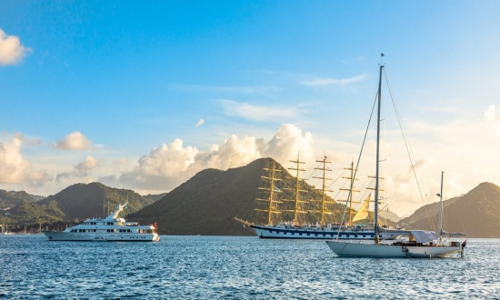 圣卢西亚护照移民